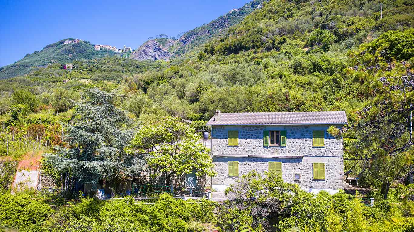 Terrain avec rustique